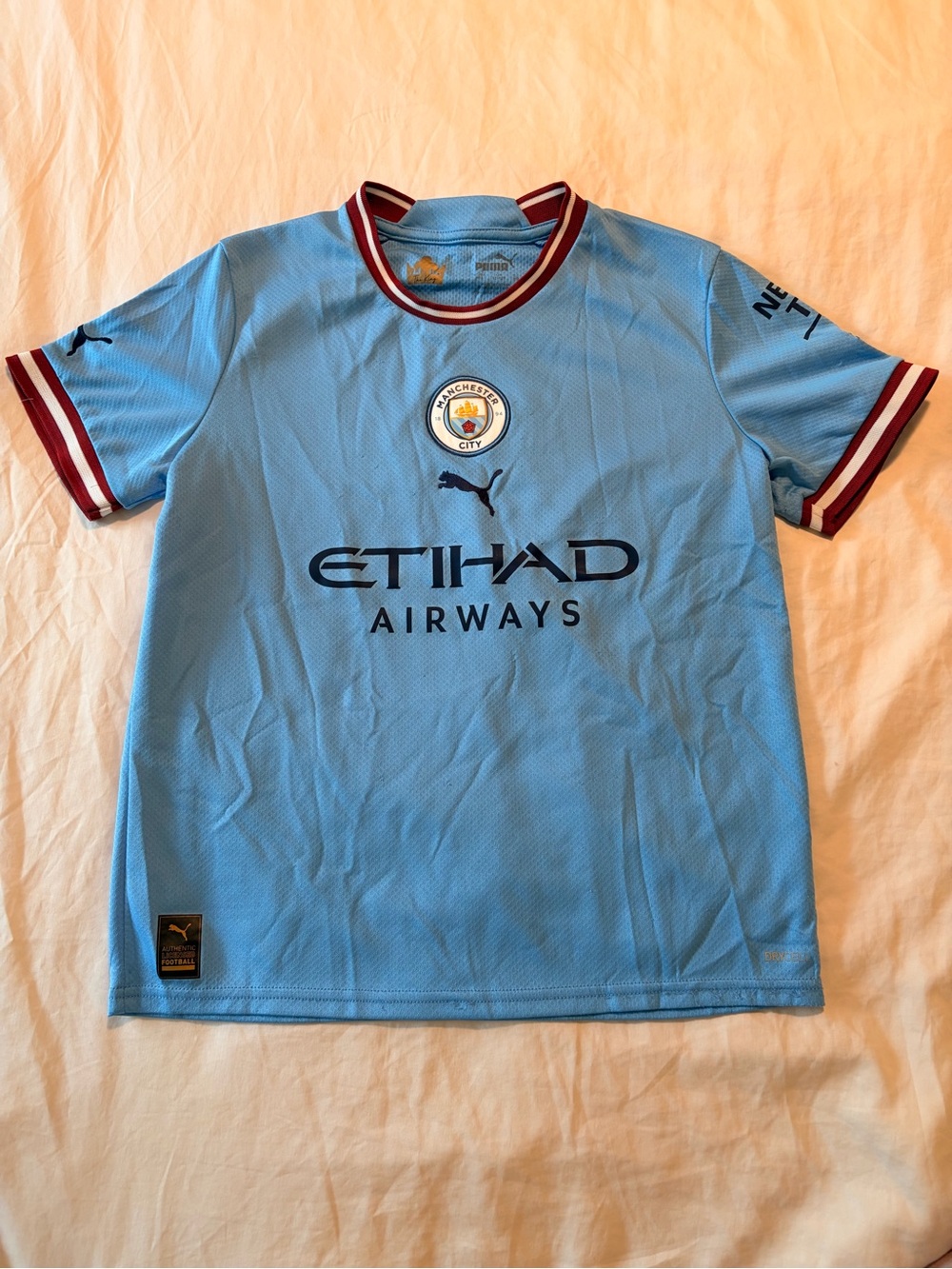 Puma Manchester City Kids' Light Blue Jersey